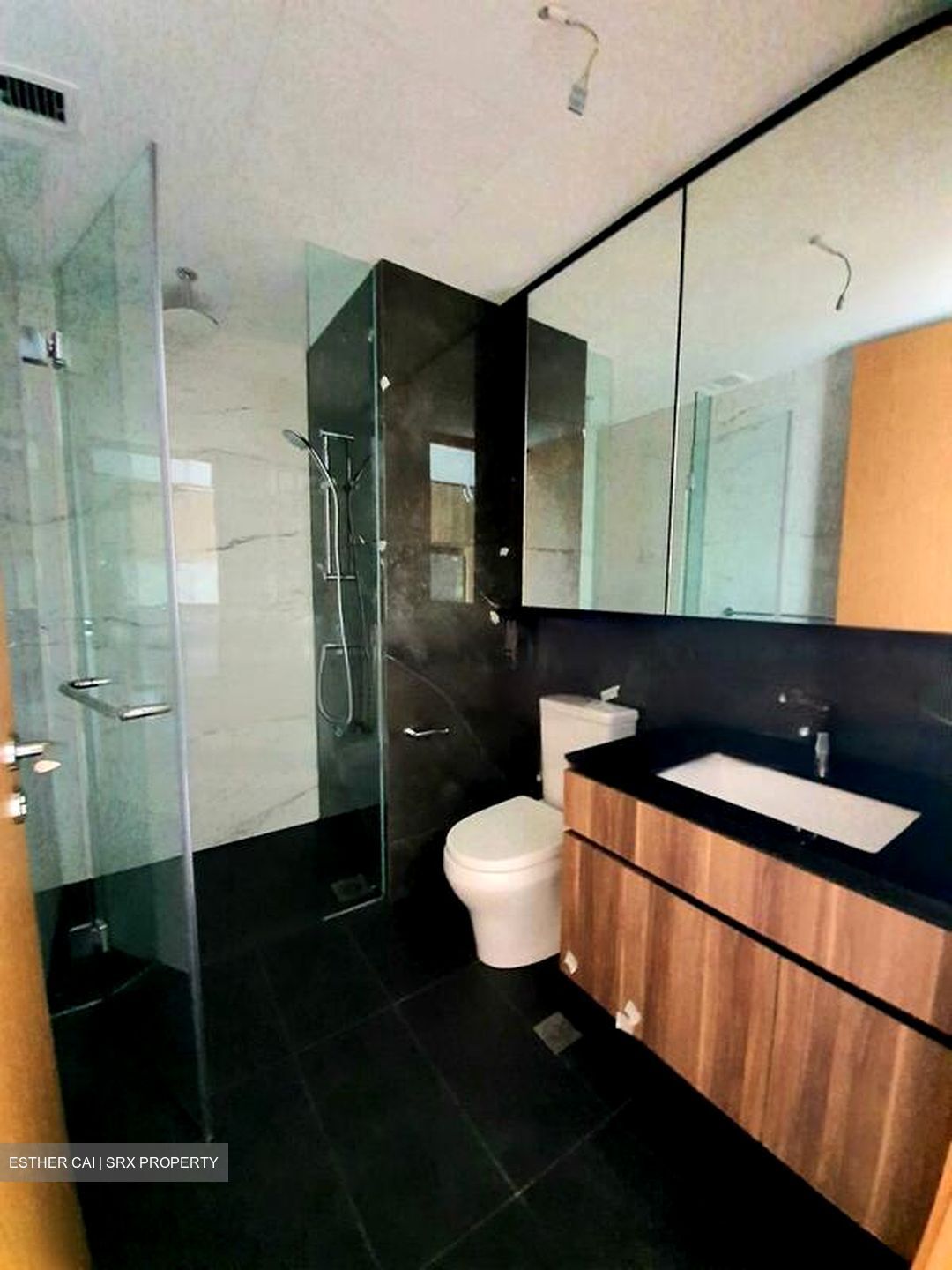 The Verandah Residences (D5), Apartment #470412781